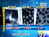 流感進入高峰期 H3N2最毒、易有併發症