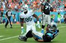 NFL: Carolina Panthers at Miami Dolphins