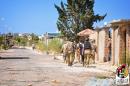 A handout picture taken on July 31, 2016 shows members of forces loyal to Libya's unity government taking part in the military operations against the Islamic State group in Sirte