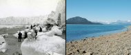 A comparison of two Alaska images from 1882 and 2005 show the extent of ice melt in NASA's "State of Flux" photo series.