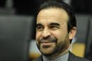Iran's ambassador to the International Atomic Energy Agency Reza Najafi in Vienna on June 2, 2014