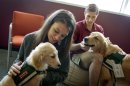 In this May 2, 2012 photo, law students Josh Richey, 22, right, and Lindsay Stewart, 26, play with Hooch, a 19-month-old golden retriever, right, and Stanley, a 4-month-old golden retriever, in between final exams at Emory University in Atlanta. Emory University is part of a small but growing number of schools that are going to the dogs, literally, to help stressed out students relax. From Kent State University in Ohio to Macalester College in Minnesota, colleges are bringing dogs on campus during exams, placing pups in counseling centers for students to visit regularly or allowing faculty and staff to bring their pets to campus to play with students. (AP Photo/David Goldman)