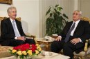 Egypt's interim President Adli Mansour meets with U.S. Deputy Secretary of State William Burns at El-Thadiya presidential palace in Cairo