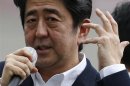 Japan's PM Shinzo Abe, who is also leader of the ruling Liberal Democratic Party, speaks to voters during a campaign for the July 21 Upper house election in Tokyo
