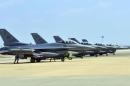 Six U.S. Air Force F-16 Fighting Falcons from Aviano Air Base, Italy, are seen at Incirlik Air Base, Turkey, after being deployed