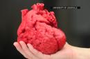 Team Seeks to 3-D Print Working Human Heart
