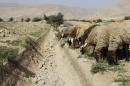 Recent Middle East Drought Was Worst in 900 Years: NASA
