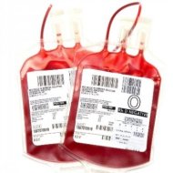 Pentingkah Mengetahui Golongan Darah?