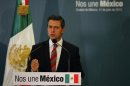 Mexico's President-elect Enrique Pena Nieto speaks as he addresses a news conference in Mexico City