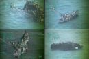 This series of images provided by the US Coast Guard shows approximately 100 Hatians clinging to the hull of a capsized sailing freighter on November 25, 2013
