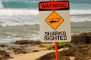 Shark Attacks Oregon Man in Hawaii