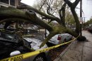 A fallen tree lies on top of a car in south Philadelphia Tuesday Oct. 30, 2012. Millions of people from Maine to the Carolinas awoke Tuesday without power, and an eerily quiet New York City was all but closed off by car, train and air as superstorm Sandy steamed inland, still delivering punishing wind and rain. (AP Photo/Jacqueline Larma)