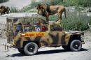 Parque Safari in Chile, a sanctuary for mistreated circus animals, turns the traditional zoo-going experience on its head