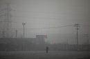 A man flies a kite near electricity pylons on a hazy day in Beijing Saturday, Jan. 12, 2013. Air pollution levels in China's notoriously dirty capital were at dangerous levels Saturday, with cloudy skies blocking out visibility and warnings issued for people to remain indoors. (AP Photo/Alexander F. Yuan)