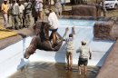 A hippo is lifted from a swimming pool Friday Aug. 24, 2012, at the Monate Conservation Lodge, near Modimolle, South Africa, after being trapped there for three days. The young hippo had plunged into the deep pool on Tuesday after being chased off from his herd by male members seeking dominance, wandered into the lodge's camp and fell into the pool. The animal died just before the rescue operation got under way. (AP Photo/Denis Farrell)