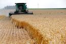 A combine drives over stalks of soft red winter wheat during the harvest on a farm in Dixon, Illinois