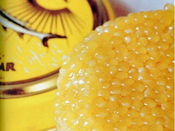 Trứng cá Caviar được bán với giá 25.000 USD