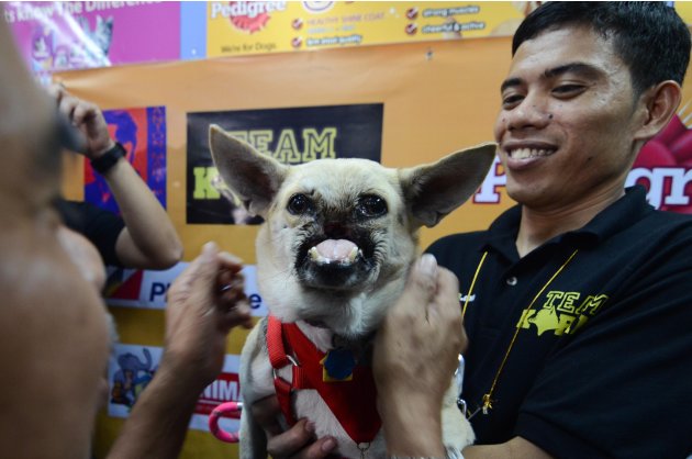 Hero Dog Kebang Returns Home After Surgery