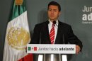 Mexico's President-elect Pena Nieto speaks during a news conference in Mexico City