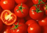 Tomat (Ilustrasi)