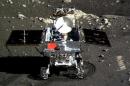 This screen grab taken from CCTV footage shows a photo of the Jade Rabbit moon rover taken by the Chang'e-3 probe lander on December 15, 2013