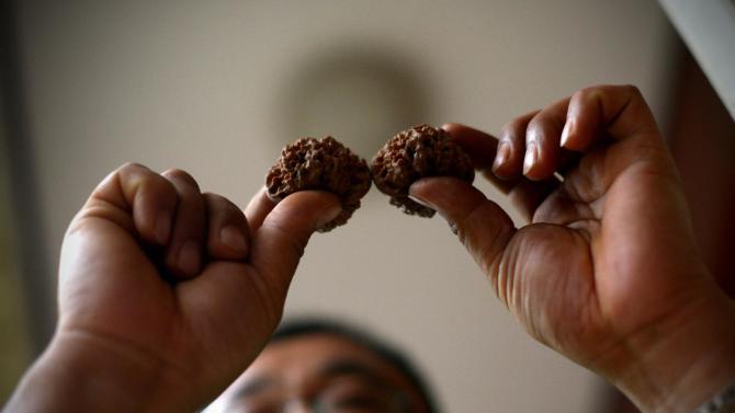 Chinese farmer Li Zhanhua shows his walnuts at his home in Hebei province, September 11 2014. Prices have skyrocketed