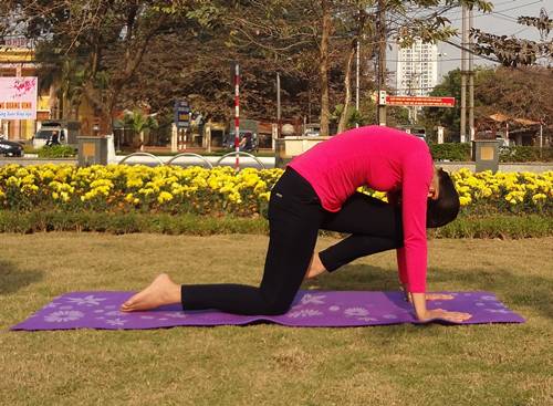 Những tư thế yoga giúp 