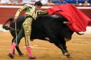 Spanish matador Miguel Angel Perera performs a pass on a bull at the Plumacon arena in Mont-de-Marsan, southwestern France, on July 22, 2015
