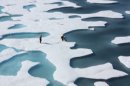 北冰洋10年內消失 學者憂心 .