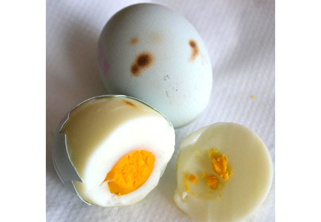 Jewish Egg