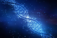 Într-o secvență de ADN pot fi stocate cantități uriașe de informații