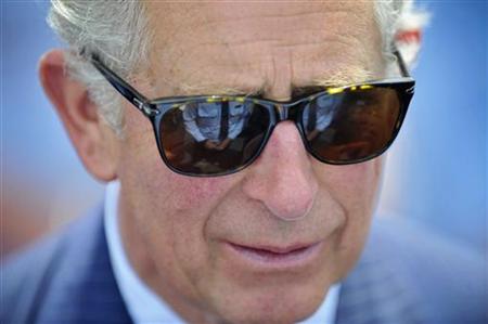 An emergency services member is reflected in the sunglasses of Britain's Prince Charles during a reception at Bondi Icebergs swimming club in Sydney November 9, 2012. REUTERS/Lukas Coch/Pool
