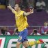 Sweden's Ibrahimovic celebrates his goal against France during their Group D Euro 2012 soccer match in Kiev