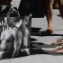 Abercrombie Slammed After Earnings