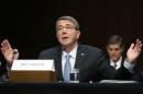 U.S. Defense Secretary Carter testifies on operations against the Islamic State on Capitol Hill in Washington