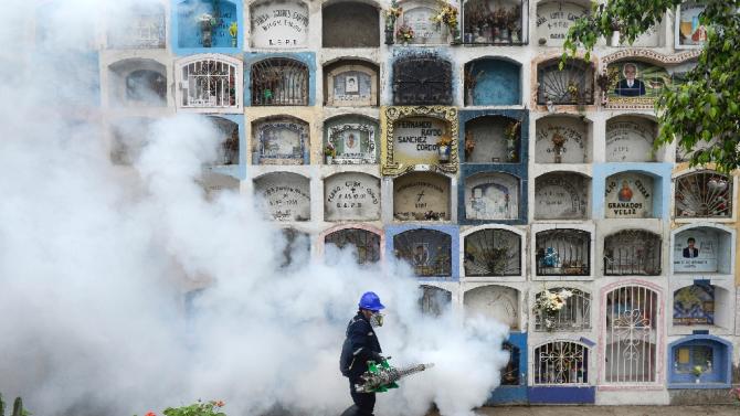 A specialist fumigates the Nueva Esperanza graveyard in the outskirts of Lima on January 15, 2016