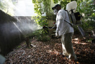 In this Thursday, Oct. 4, 2012 photo, Jason Garcia, a field inspector with the Florida Keys Mosquito Control District, tests a sprayer that could be used in the future to spray pesticides to control mosquitos in Key West, Fla. The British company Oxitec and mosquito control officials hope to release genetically modified mosquitoes to control the Aedes aegypti mosquito population, that can transmit dengue fever, without using pesticides and at relatively a low cost. But some Key West residents and environmental groups think the genetically modified mosquitoes pose a bigger threat than regular dengue or even dengue hemorrhagic fever. They worry the modified genetic material will somehow be passed to humans and the Keys ecosystem and they want more research into the potential risks. (AP Photo/Wilfredo Lee)