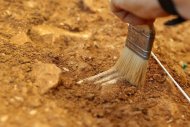(11 jul) Arqueólogo trabalha na jazida de Atapuerca