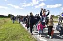 Migrants, mainly from Syria, walk on a highway north of Rodby, Denmark, September 7, 2015