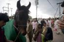 People look at a Zul jinnah horse, symbolizing the horse Shiites' spiritual leader Imam Hussein used to fight against his enemy in Karbala Shiite Muslims, at a local shrine in Islamabad, Pakistan, Thursday, April 7, 2016. (AP Photo/B.K. Bangash)