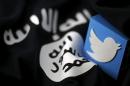 An illustration picture of a 3D printed logo of Twitter and an Islamic State flag