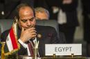 Egypt's President Abdel Fattah al-Sisi attends the closing session of an African summit meeting in the Egyptian resort of Sharm el-Sheikh on June 10, 2015