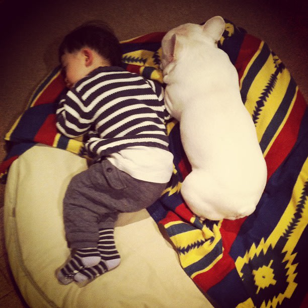 Cute Alert: Boy and His Dog …