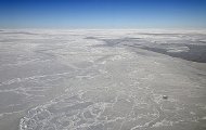 El cambio climático puede causar un cambio biológico en zonas polares