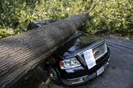 Mike Wolfe's pick-up truck lies under a fallen tree in front of his house after a severe storm in Falls Church, Va., Saturday, June 30, 2012. Wolfe's daughter Samanth Wolfe created the for sale sign as a joke. (AP Photo/Cliff Owen)