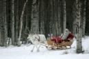 A man dressed as Santa Claus rides his sleigh as he prepares for Christmas on the Arctic Circle in Rovaniemi, northern Finland