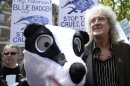 Brian May, guitarist of rock band Queen, leads a protest against the cull of tuberculosis-infected badgers in central London