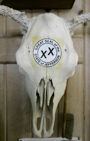 FILE - In this Feb. 20, 2008 file photo, a skull with&nbsp;&hellip;