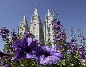 In this Sept. 3, 2014, file photo, shows flowers blooming &hellip;