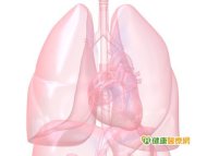 慢阻肺多合併心臟病　腹式呼吸可促進健康